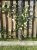 20130607_191639.jpg