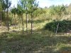 DSC00126.JPG
