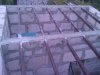 WP_002168.jpg