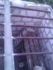WP_002166.jpg