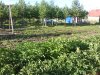 DSC00556.jpg