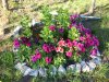 DSC00542.jpg