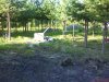DSC00557.jpg