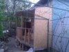 WP_002976.jpg