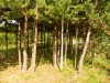 DSCN1257.jpg