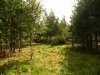 DSCN1259.jpg