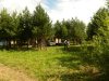 DSCN1263.jpg
