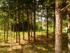 DSCN1271.jpg