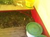 DSC01691.jpg