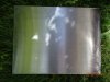 DSC00551m.jpg