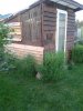 20140830_193619.jpg