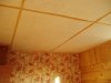 Фото 0775.JPG