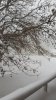 20141229_103812.jpg