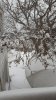 20141229_103816.jpg
