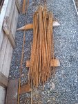 IMG_20170326_163616.jpg