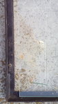 20170428_082103.jpg