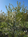 20170520_093416.jpg