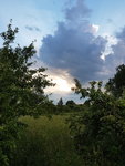 20170701_204306.jpg
