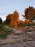 20170715_212429.jpg