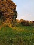 20170715_212024.jpg