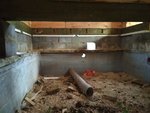 IMG_2017-10-07_171158.jpg