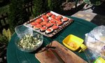 20160917_130229_1000x600.jpg