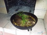 IMG_03072016_195625.jpg