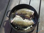 IMG_03072016_172216.jpg