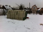 IMG_4602.JPG