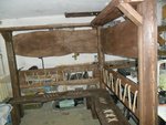 SAM_7392-1.jpg