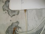 SAM_4801-1.jpg