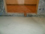 SAM_4803-1.jpg