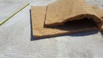 20180616_140519.jpg