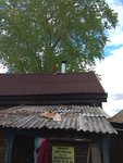IMG_20180610_175849.jpg