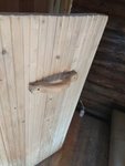 IMG_20180714_173403.jpg