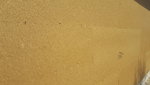 20180720_122956.jpg