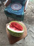 IMG_20180727_190954.jpg