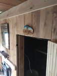 IMG_20180729_162639.jpg