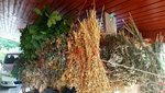 20180826_183239.jpg
