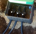 20180915_004054.jpg