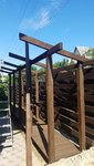 20200624_094808.jpg
