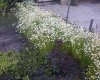Фото-0037.jpg