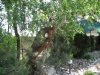 DSCN3764.JPG