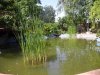 DSCN3796.JPG