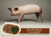 скачанные файлы.jpg