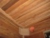 IMG_3561.JPG