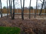 2016-02-20 11.51.00.jpg