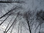 2016-02-19 14.12.21.jpg