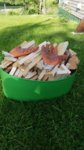 20160610_175743.jpg