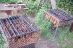 SDC10377.JPG